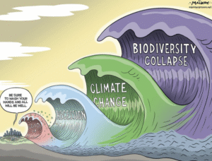 Transition ecologique en France