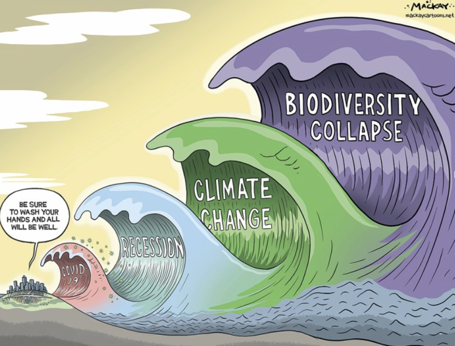 Transition ecologique en France